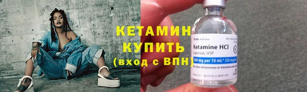 дживик Няндома