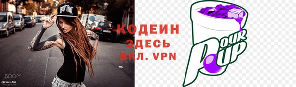 дживик Няндома