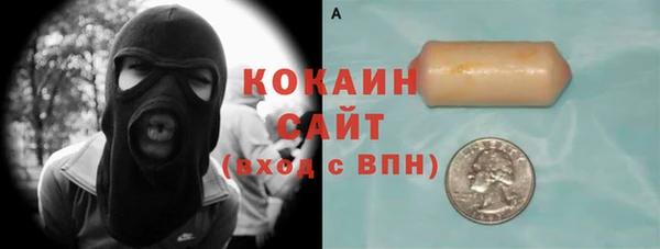 дживик Няндома