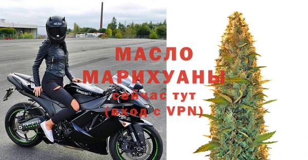 дживик Няндома