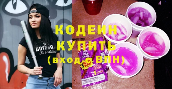 дживик Няндома