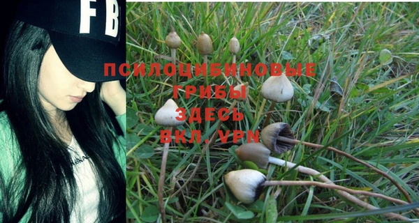 прущая мука Осинники