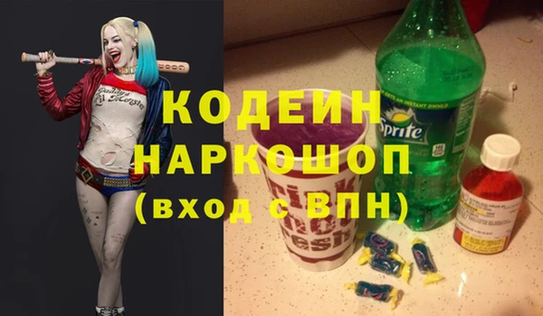 дживик Няндома