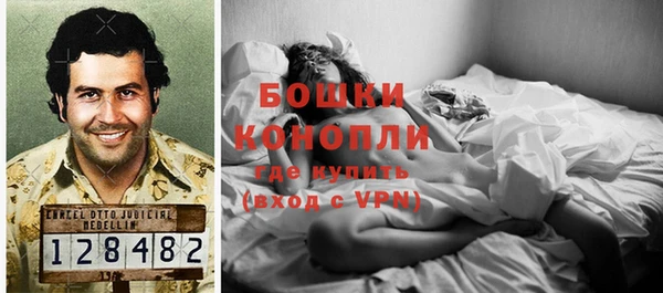 дживик Няндома