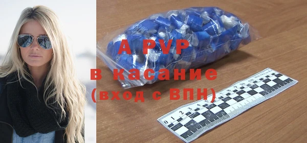 дживик Няндома