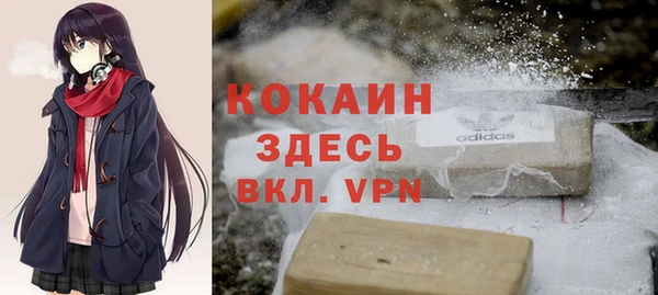 дживик Няндома