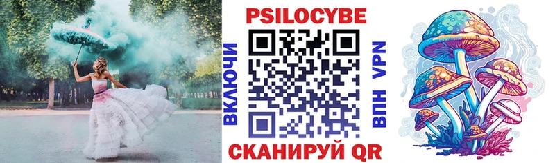 Псилоцибиновые грибы Cubensis Навашино