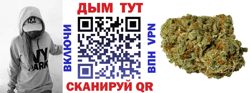 купить  цена  Навашино  Бошки марихуана SATIVA & INDICA 